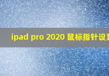 ipad pro 2020 鼠标指针设置